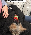 Filename=1218b~0.jpg
Filesize=238KiB
Dimensions=1080x1920
Date added=Dec 28, 2018 1218b~0.jpg