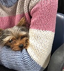 Filename=1218c~0.jpg
Filesize=178KiB
Dimensions=1024x1821
Date added=Dec 28, 2018 1218c~0.jpg