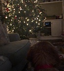 Filename=1220.jpg
Filesize=165KiB
Dimensions=1080x1920
Date added=Dec 28, 2018 1220.jpg