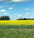 Filename=1231egr.jpg
Filesize=161KiB
Dimensions=1080x1920
Date added=Jan 02, 2019 1231egr.jpg
