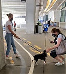 Filename=bgus_1982860_003.jpg
Filesize=1791KiB
Dimensions=2272x3038
Date added=Aug 24, 2020 bgus_1982860_003.jpg