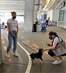 Filename=bgus_1982860_006.jpg
Filesize=1905KiB
Dimensions=2272x3038
Date added=Aug 24, 2020 bgus_1982860_006.jpg