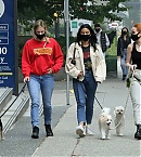 Filename=bgus_1995655_030.jpg
Filesize=3099KiB
Dimensions=2500x2000
Date added=Sep 14, 2020 bgus_1995655_030.jpg