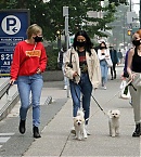Filename=bgus_1995655_037.jpg
Filesize=2203KiB
Dimensions=2500x1667
Date added=Sep 14, 2020 bgus_1995655_037.jpg