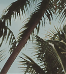 Filename=vlcsnap-00001~0.png
Filesize=1185KiB
Dimensions=1280x738
Date added=Oct 25, 2018 vlcsnap-00001~0.png