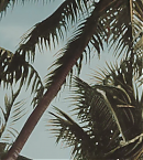 vlcsnap-00002~0.png