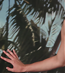 vlcsnap-00046~0.png