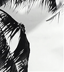 vlcsnap-00063~1.png