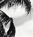 vlcsnap-00064~1.png