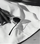 Filename=vlcsnap-00076~0.png
Filesize=584KiB
Dimensions=1280x738
Date added=Oct 25, 2018 vlcsnap-00076~0.png
