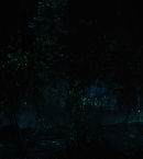 Filename=vlcsnap-00507~12.png
Filesize=716KiB
Dimensions=1280x720
Date added=May 16, 2019 vlcsnap-00507~12.png