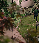Filename=vlcsnap-00557~19.png
Filesize=1279KiB
Dimensions=1280x720
Date added=Dec 13, 2019 vlcsnap-00557~19.png