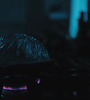 Filename=vlcsnap-00645~1.png
Filesize=218KiB
Dimensions=960x546
Date added=Dec 07, 2018 vlcsnap-00645~1.png