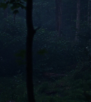 vlcsnap-00666~25.png