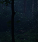 vlcsnap-00667~25.png