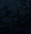 vlcsnap-00683~24.png