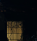 vlcsnap-00812~16.png