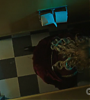 Filename=vlcsnap-00859~0.png
Filesize=261KiB
Dimensions=720x418
Date added=Nov 08, 2018 vlcsnap-00859~0.png