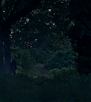 Filename=vlcsnap-00866~10.png
Filesize=744KiB
Dimensions=1281x534
Date added=Aug 23, 2020 vlcsnap-00866~10.png