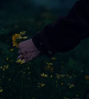 vlcsnap-00873~14.png