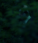 vlcsnap-00879~14.png