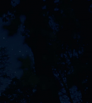 vlcsnap-00900~13.png