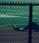 vlcsnap-00938~11.png
