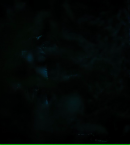 vlcsnap-01000~10.png