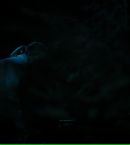 vlcsnap-01001~10.png