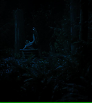 vlcsnap-01034~9.png