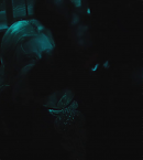 vlcsnap-01301.png