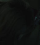vlcsnap-01441.png