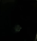 Filename=vlcsnap-01690~0.png
Filesize=230KiB
Dimensions=1281x534
Date added=Aug 23, 2020 vlcsnap-01690~0.png