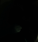 Filename=vlcsnap-01691~0.png
Filesize=205KiB
Dimensions=1281x534
Date added=Aug 23, 2020 vlcsnap-01691~0.png